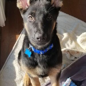 Meet your Posher, Haley